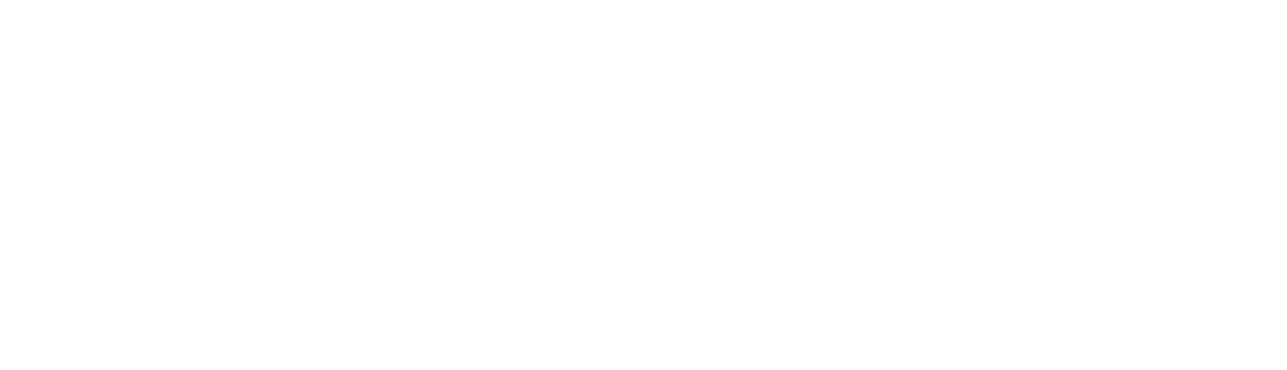 Animas Excavating Logo_001 (1)